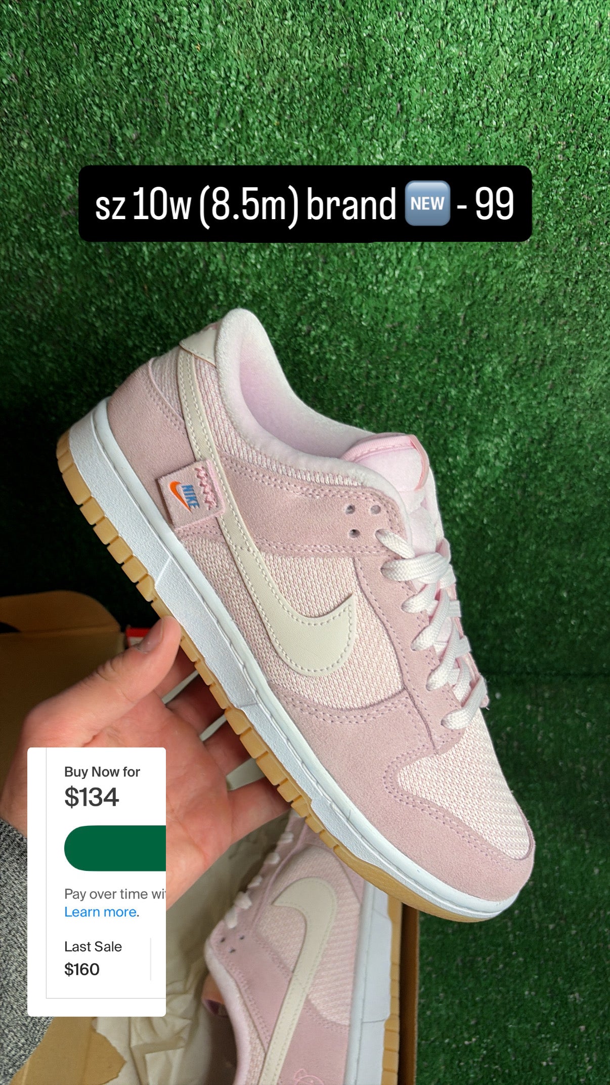 Dunk Low Teddy Bear Size 8.5m