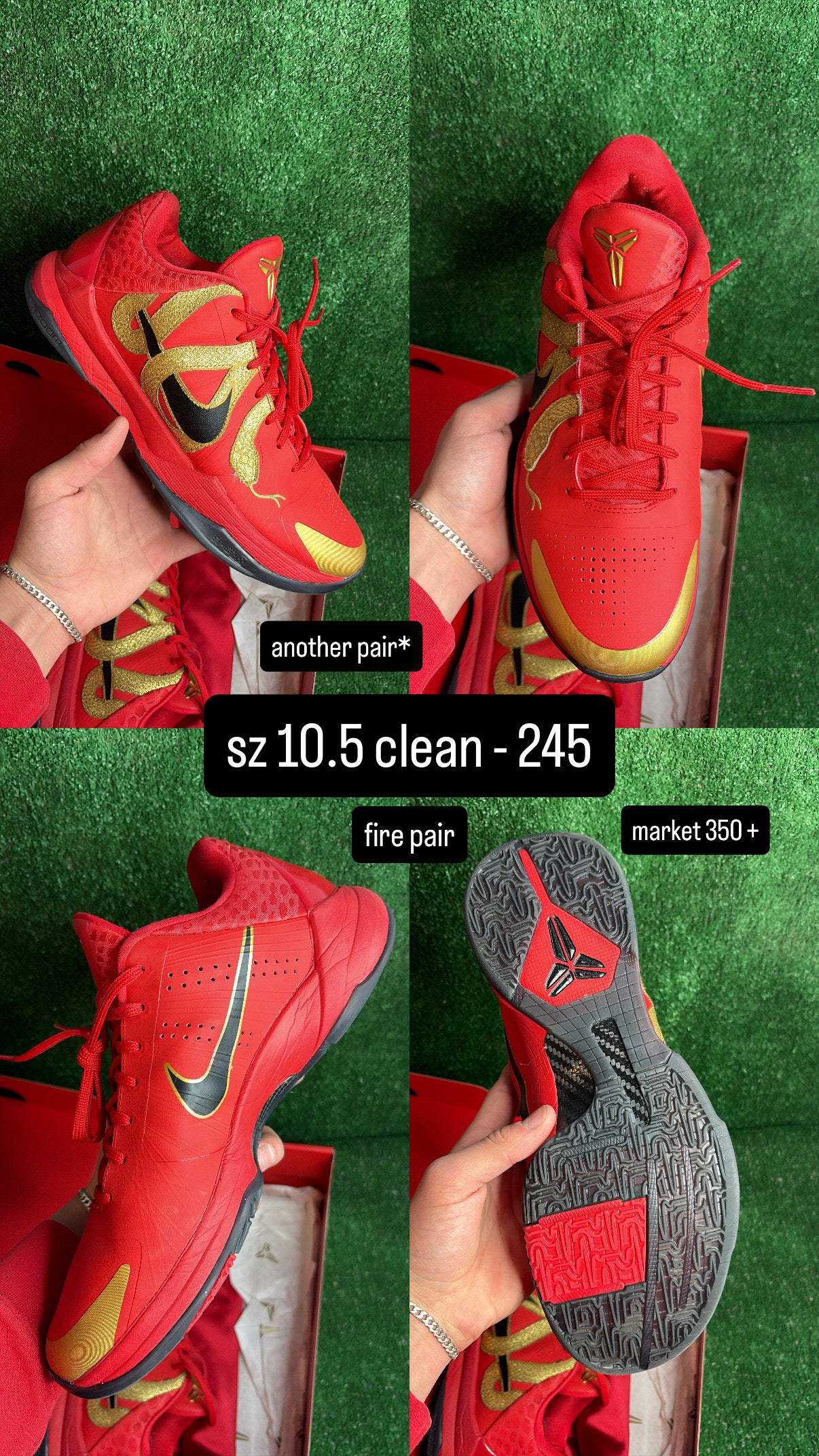 Kobe 5 Year Of the Mamba University Red Size 10.5