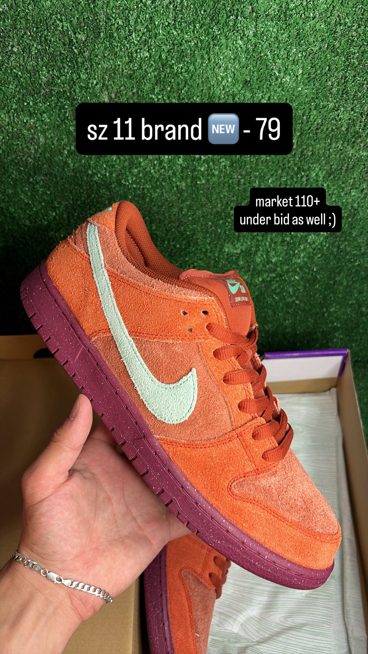 Nike Dunk Low SB Mystic Redwood Size 11