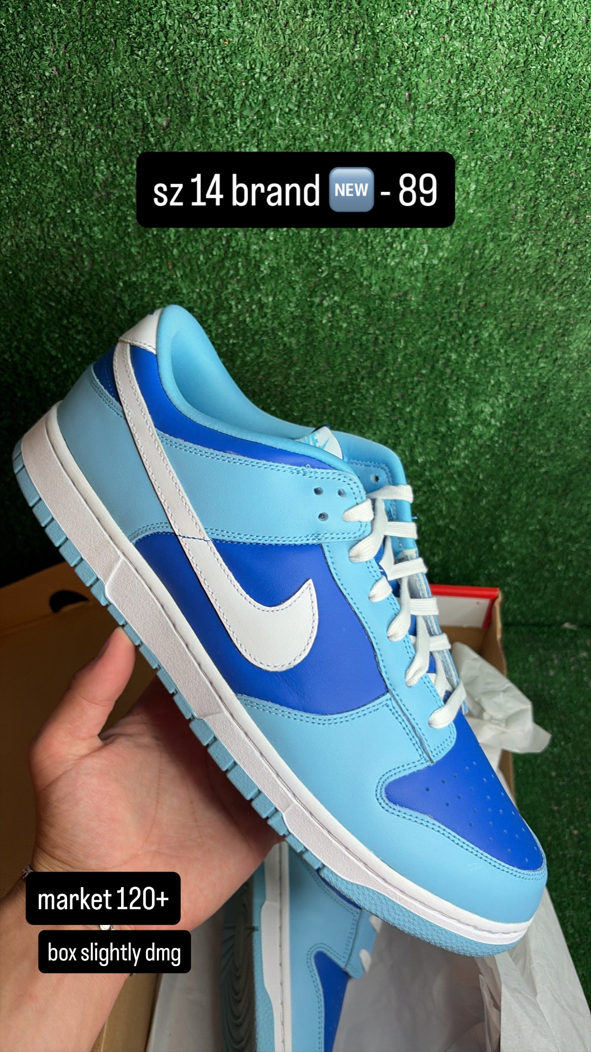 Nike Dunk Low Argon Size 14