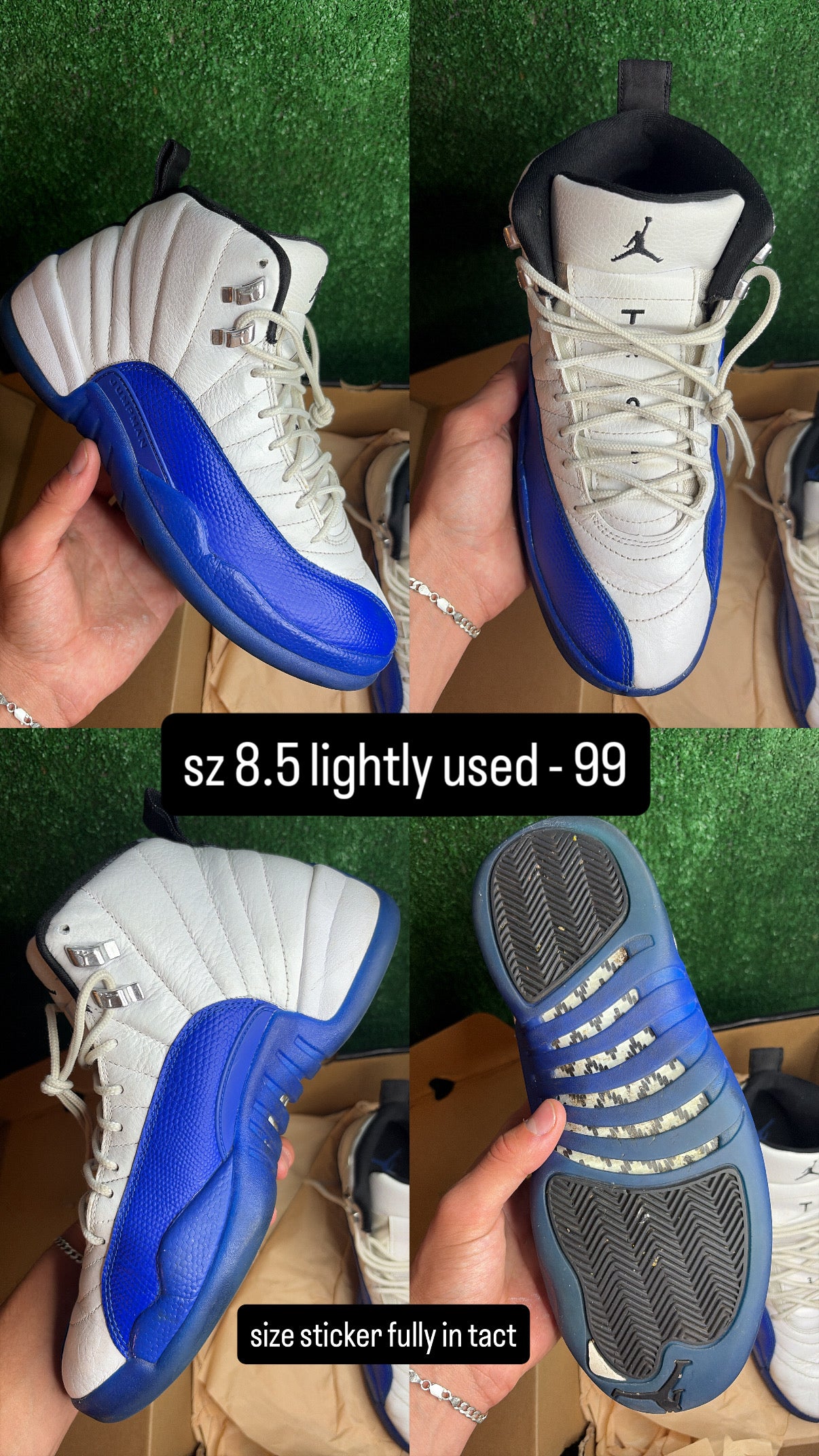Jordan 12 Blueberry Size 8.5