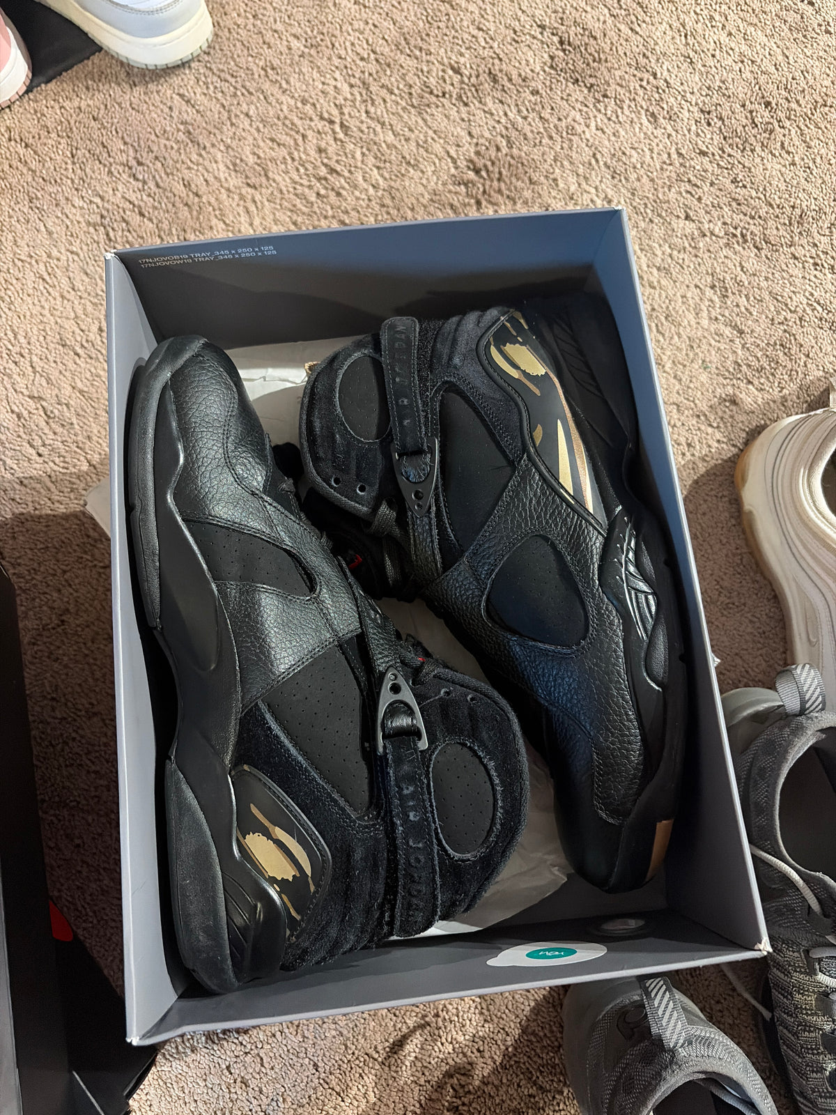 J8 Ovo (11.5)