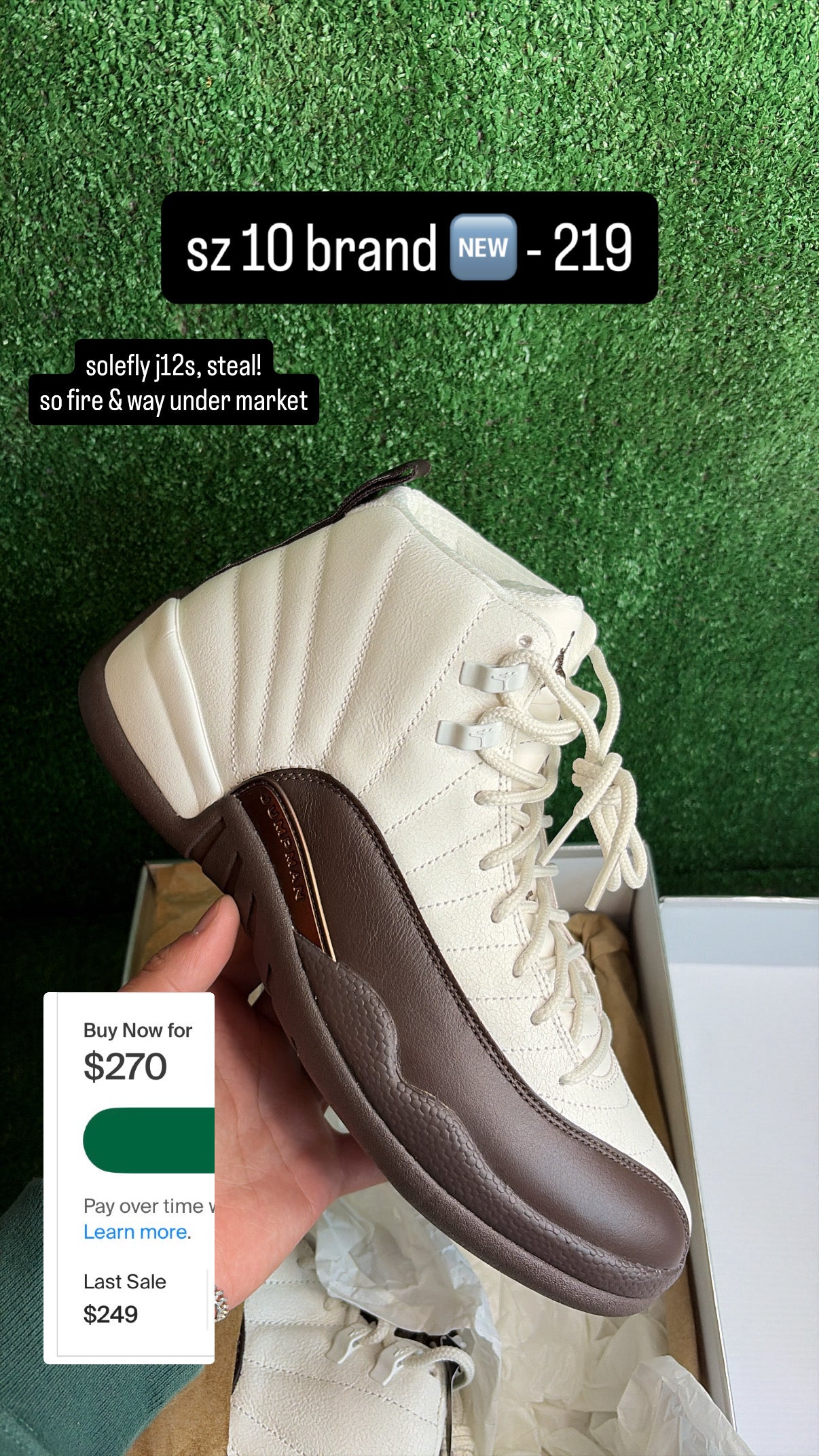 Jordan 12 Solefly Size 10