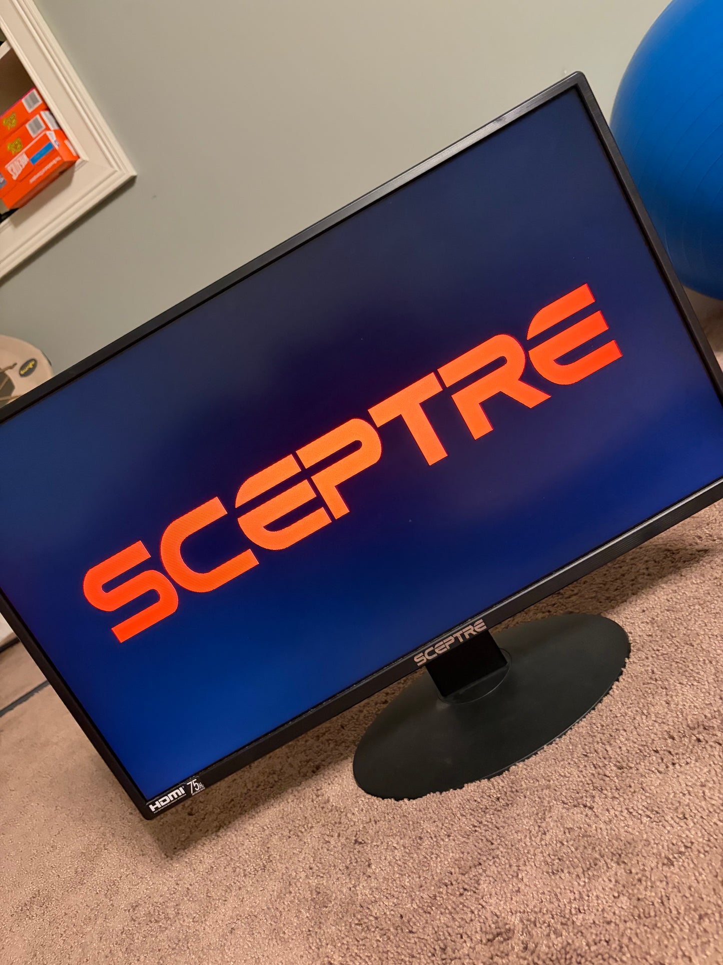 Sceptre 75 FPS Gaming Monitor (24 Inch)